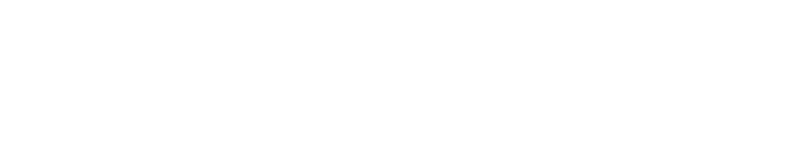 vivamdia logo